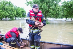 Hochwasser2013_086